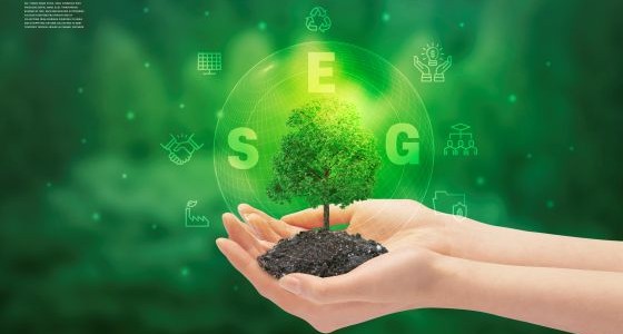 ESG�����򰡻� 1��